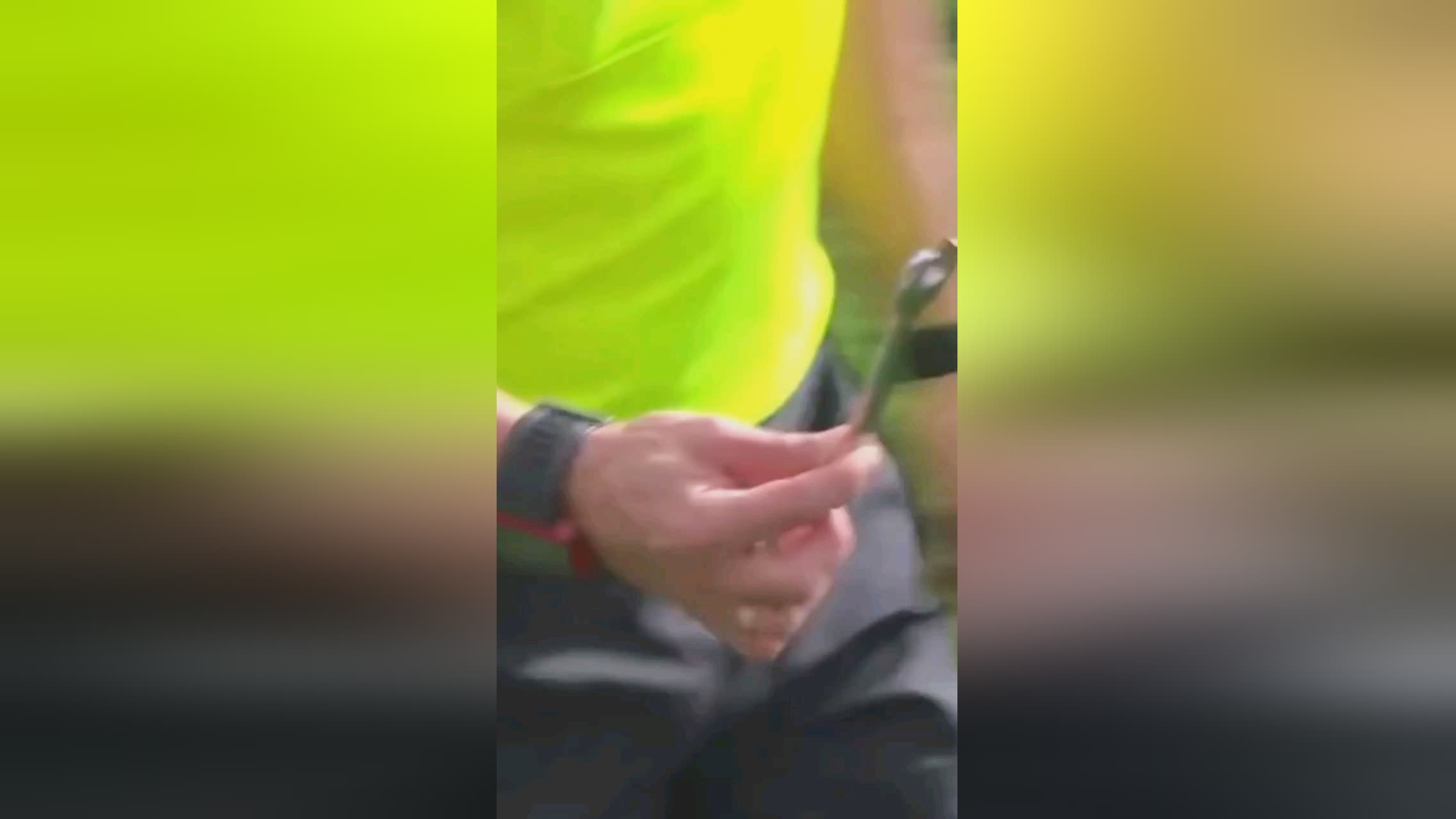 表明了他们